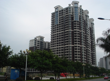 福建龙岩棕梠群