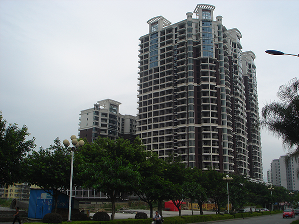 福建龙岩棕梠群