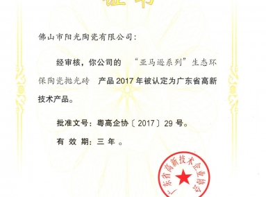 广东省高新技术产品2