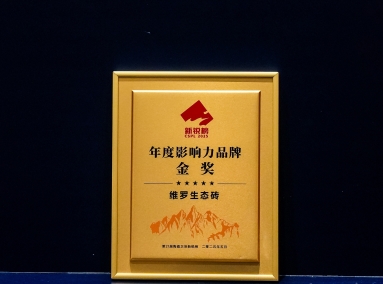 年度影响力品牌